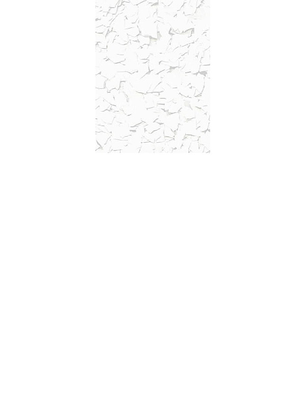 FLECKED Color Chips for EPOXY and WALL PAINTS, white