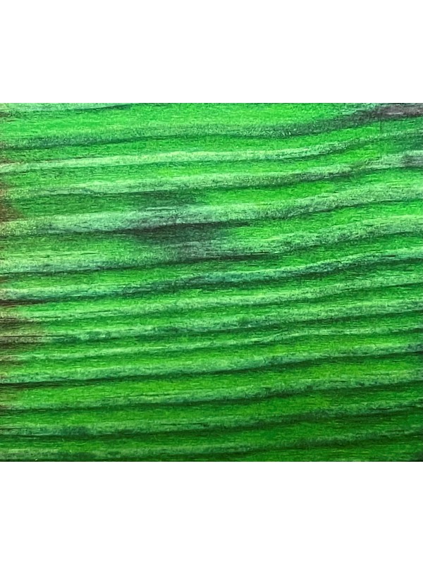 KOLORO P Brilliant Green 10 g